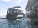 quicksilverandpontoon.jpg