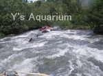 raft2.jpg